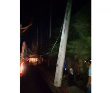 Trụ điện đường