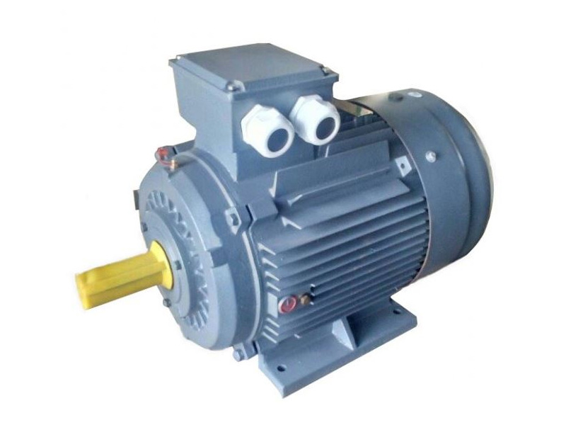 Motor điện 3 pha QM B3, 0.5KW - 1000KW